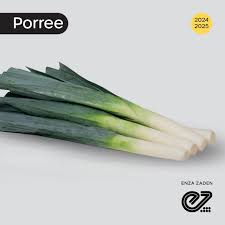 Image result for Porree