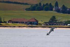 Image result for Fortrose & Rosemarkie Golf Club