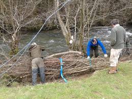 Image result for Dulverton Angling Association
