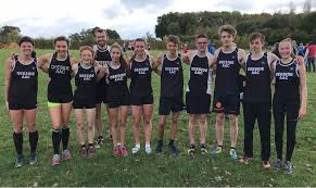 Image result for Deeside Aac