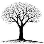 Bare Tree Royalty Free Cliparts, Vectors, And Stock Illustration ...