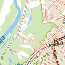 Attēlu rezultāti vaicājumam “Heterotrichia oerstedii (syn. Arcyria oerstedii) sessile”