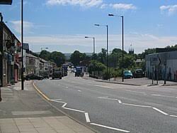 Image result for Hazel Grove