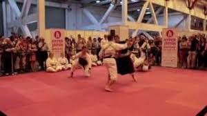Image result for University of Bristol Shorinji Kempo Club