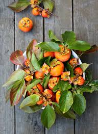 Image result for sharon fruit