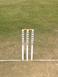 Image result for Hadlow Cricket Club