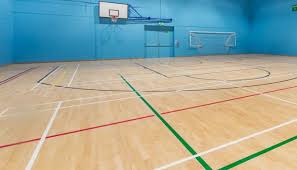 Image result for Bath Spa Badminton Club