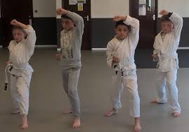 Image result for Thatcham Wado Karate Club