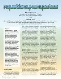 Attēlu rezultāti vaicājumam “Badhamia lilacina plasmodium”