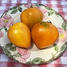 Afbeeldingsresultaat voor belarus orange tomato