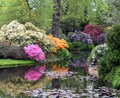 Image result for Arboretum Trompenburg