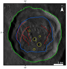 Attēlu rezultāti vaicājumam “Craterium minutum cf. var. brunneum macro”