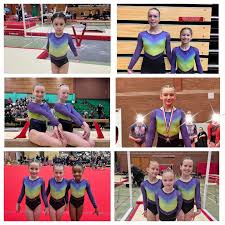 Image result for WALSALL GYMNASTICS CLUB