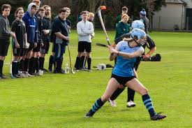 Image result for Edinburgh University Shinty Club
