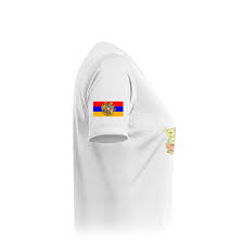 Image result for Футболка с флагом армении