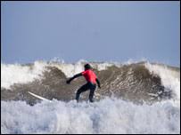 Image result for Scarborough Malibu Surf Club