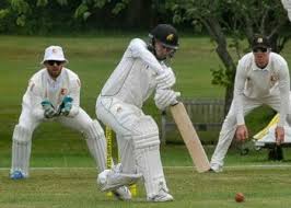 Image result for Theale and Tilehurst Cricket Club