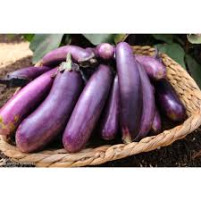 Afbeeldingsresultaat voor slim jim eggplant