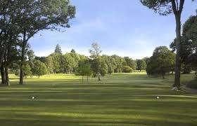 Image result for Hartley Wintney Cc
