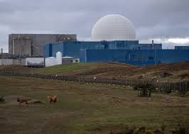 Image result for holtec tehron