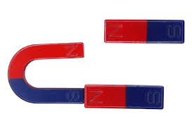 Image result for Pole Magnets