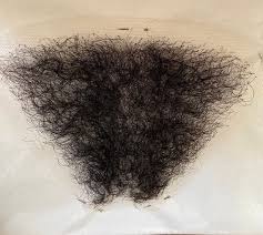 Image result for schamhaar