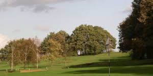 Image result for Chelmsford Gc