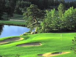 Image result for Fox Gc