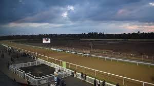 Image result for Reading Greyhound Track