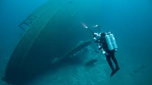 Image result for Deep and Wide Diving