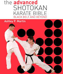 Image result for Excalibur Shotokan Karate Club