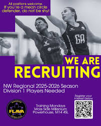 Image result for Flava Netball Club