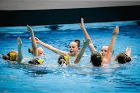 Image result for South Yorkshire Swans