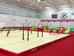 Image result for South Essex Gymnastics Club