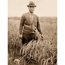 「南部こうざぶろう」の画像検索結果