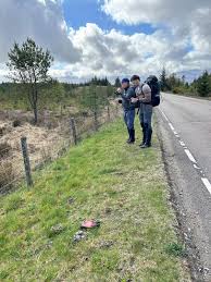 Image result for The Cairngorm Club