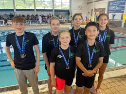 Image result for Maidenhead Marlins Swimming Club