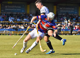 Image result for World of Shinty