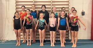 Image result for Harlequin Gymnastics Club
