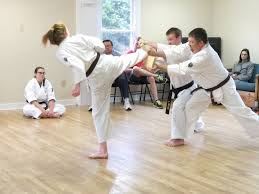 Image result for Redhill Karate Association