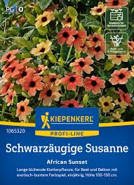 Image result for schwarzäugige Susanne
