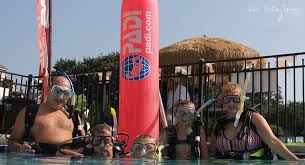 Image result for Discover Swimming