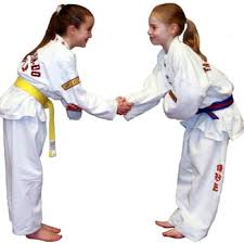 Image result for Didcot TAGB Tae Kwon Do