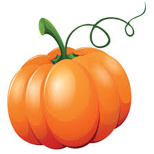 Image result for Kürbis