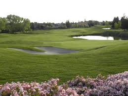 Image result for Brookside Badminton Club