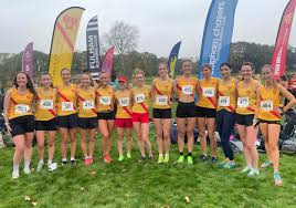 Image result for Hercules Wimbledon A C