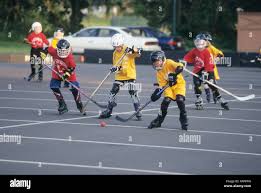 Image result for Urban Knights Inline Roller Hockey