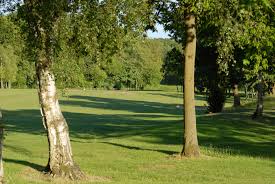 Image result for Alfreton Golf Club