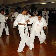 Image result for Kenshukai Karate