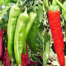 Afbeeldingsresultaat voor numex sandia hot pepper
